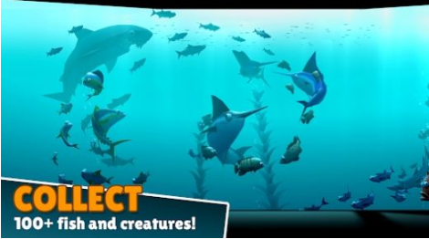  深海垂钓（Creatures of the Deep）