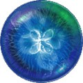 星噬多人联机游戏